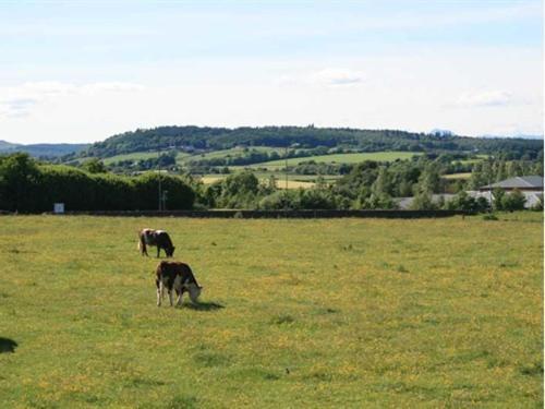 Hillhead Farm Lets Hotel Stirling Eksteriør billede